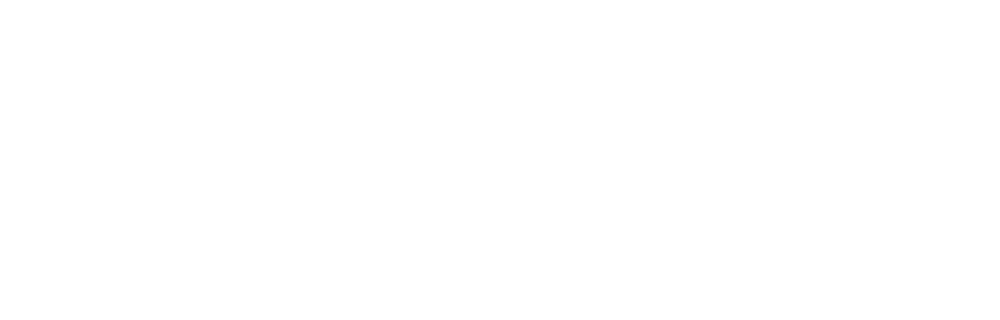 FlxPoint
